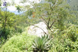 20080701 Photo 2015 1TbpnFCa5F0fW4Z7vgx3dzKJCHYujL YH.JPG