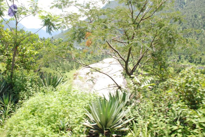 20080701 Photo 2015 1TbpnFCa5F0fW4Z7vgx3dzKJCHYujL YH.JPG