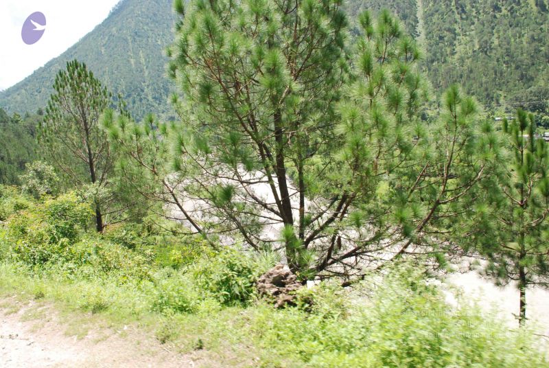 File:20080701 Photo 2020 1rKaAIIYzmfs6CPklEga5HwTWA7FfJQbT.JPG