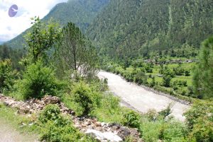 20080701 Photo 2021 1Xi6zkUiHCDu0oGe5EzdOmT48j62BDzTj.JPG