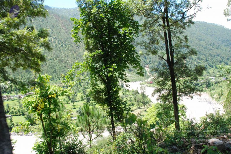 File:20080701 Photo 2028 1GKoxijnzyXFyaKy1YdRaymwt1Vyg-Y7-.JPG