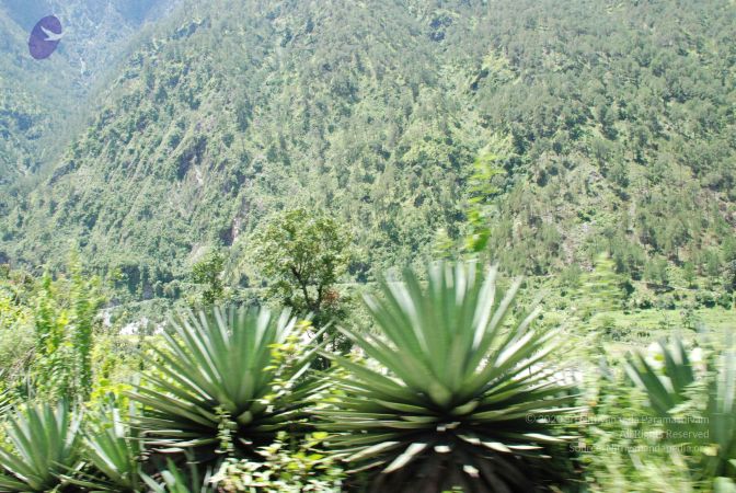 20080701 Photo 2031 1sE-KwIF8JY0mhrqHVvifYvwJJiPdrZ8W.JPG