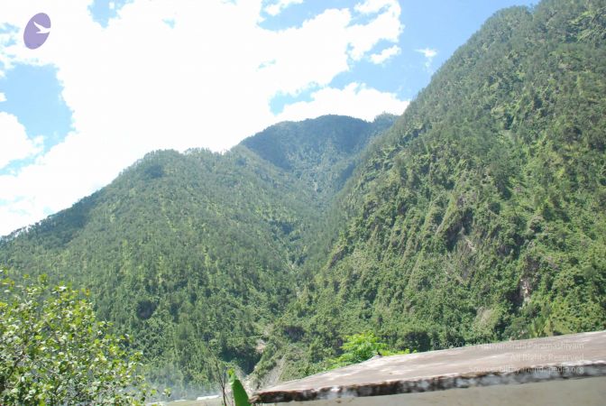 20080701 Photo 2036 1S5-jESOiYH0CQ8Fi3O 2MxwaetLILzLh.JPG