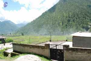 20080701 Photo 2038 1lIaLpOPdFB m2HexIwIn8-3Jd8h6gPwx.JPG