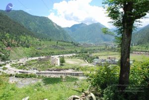 20080701 Photo 2043 1DyOGxoqUzth29qCieVEqWI1OR0gNFIQg.JPG