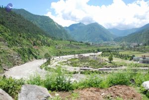 20080701 Photo 2049 1u4OotWXXnzEG0Xt6gix2ZXRzhq0k-DS2.JPG