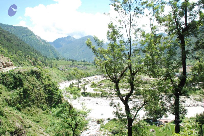 File:20080701 Photo 2056 108 xq5dmw0HM1ZqkSR42oNaMqeN e9JC.JPG