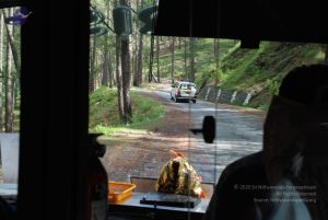 20080702 DSC 0013 CMP WM.jpg