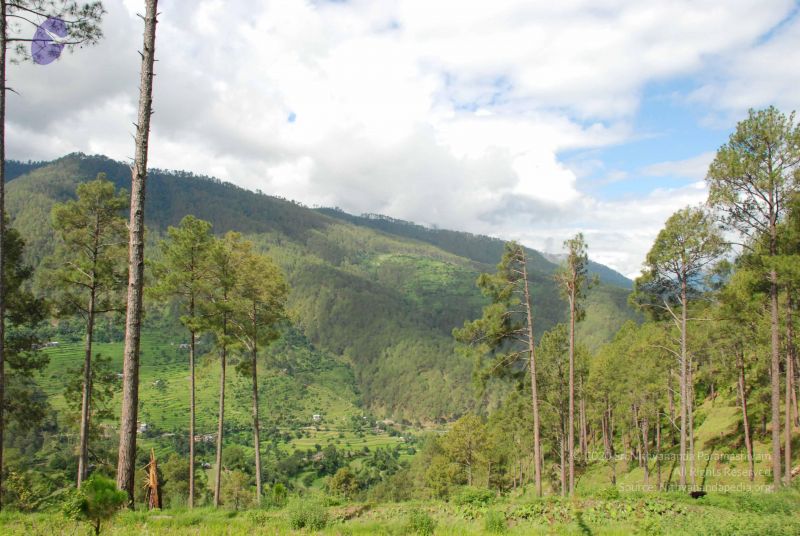 File:20080702 DSC 0021 CMP WM.jpg