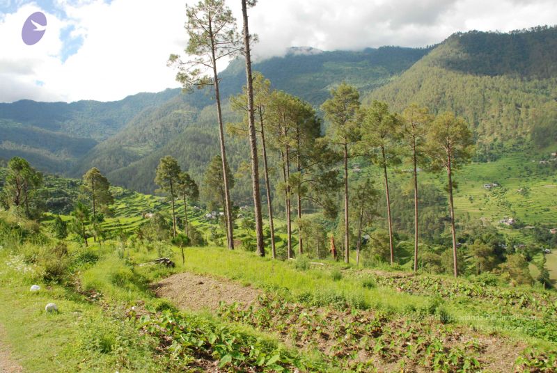 File:20080702 DSC 0022 CMP WM.jpg