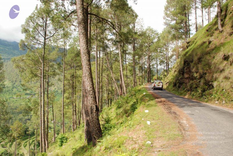 File:20080702 DSC 0027 CMP WM.jpg