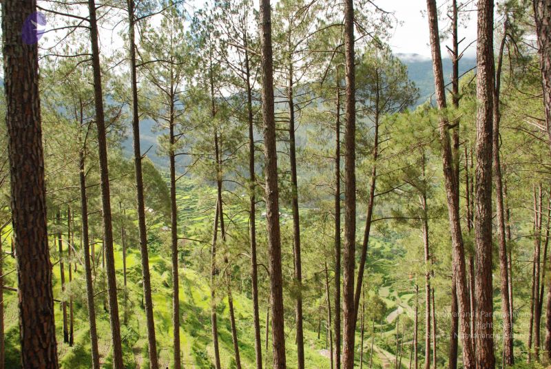 File:20080702 DSC 0032 CMP WM.jpg