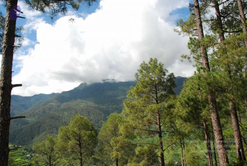 File:20080702 DSC 0036 CMP WM.jpg