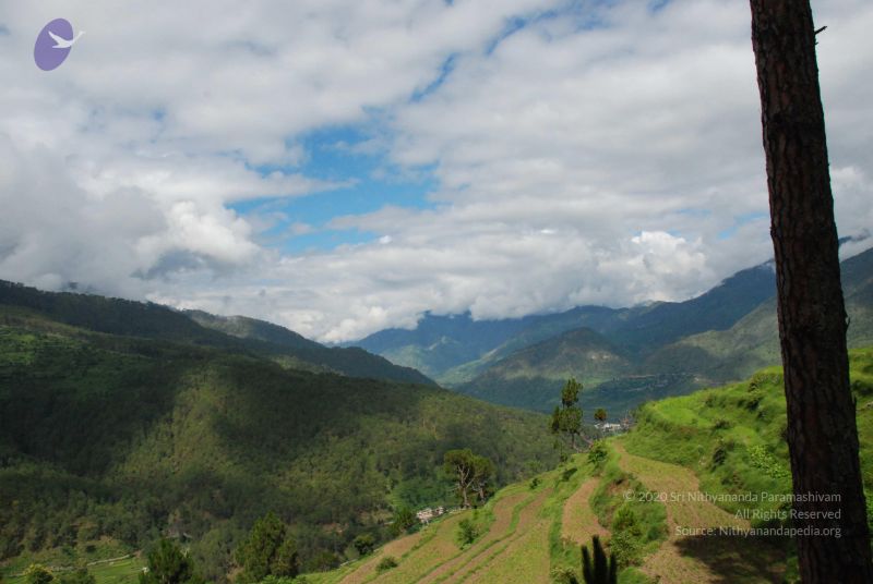 File:20080702 DSC 0040 CMP WM.jpg