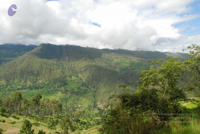 File:20080702 DSC 0046 CMP WM.jpg