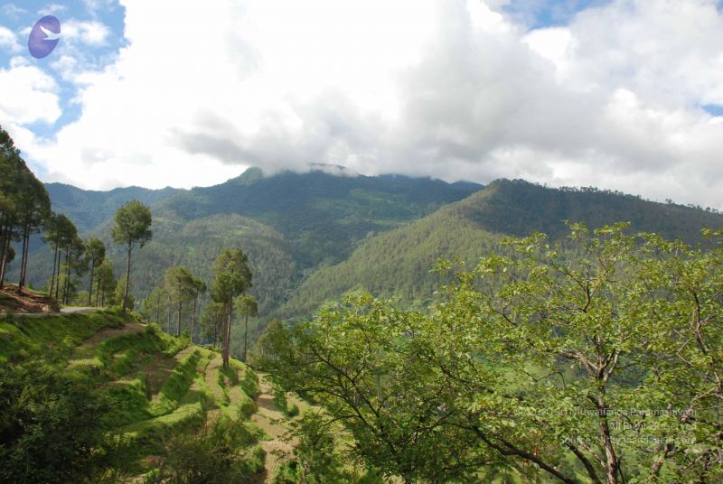 File:20080702 DSC 0047 CMP WM.jpg