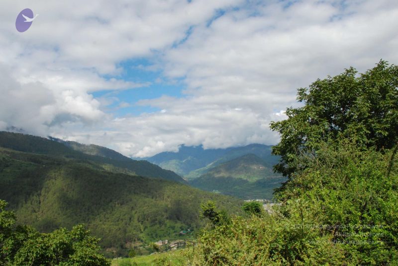 File:20080702 DSC 0049 CMP WM.jpg