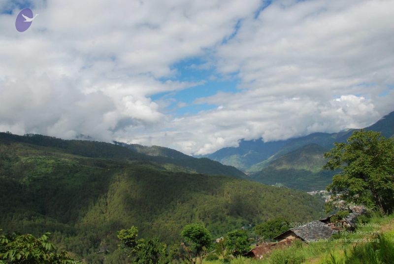 File:20080702 DSC 0050 CMP WM.jpg