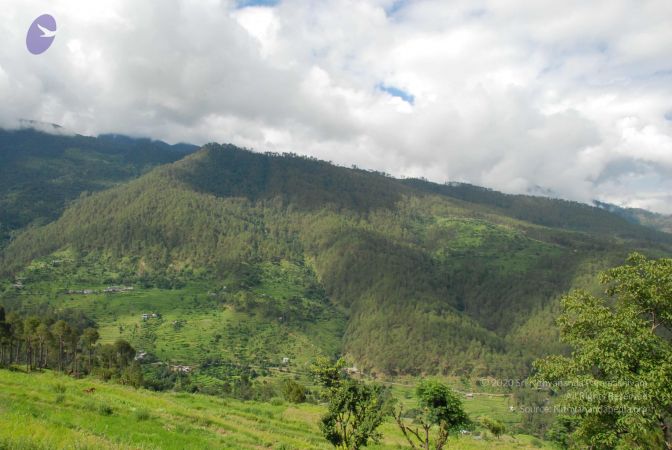 20080702 DSC 0052 CMP WM.jpg