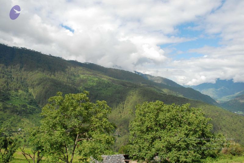 File:20080702 DSC 0053 CMP WM.jpg