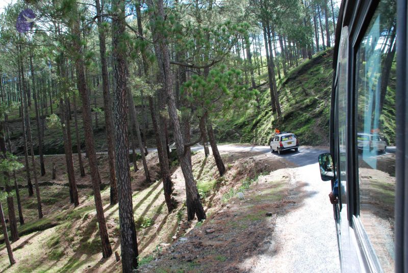 File:20080702 DSC 0056 CMP WM.jpg