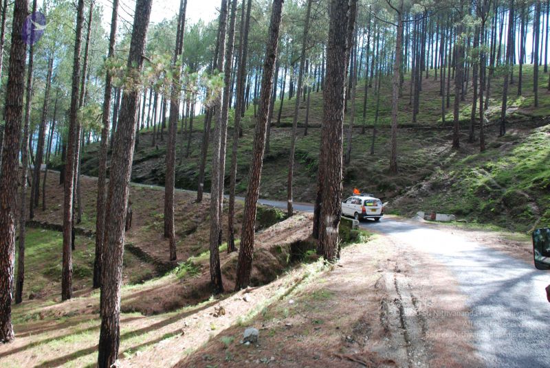 File:20080702 DSC 0059 CMP WM.jpg