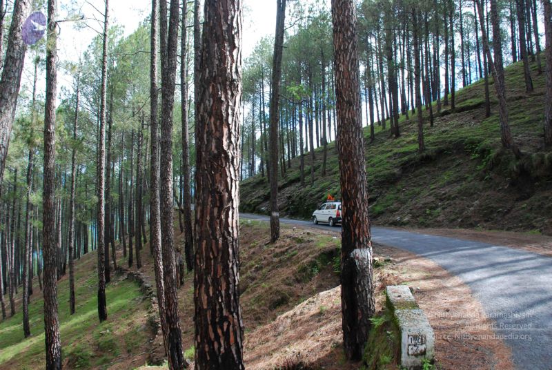 File:20080702 DSC 0061 CMP WM.jpg