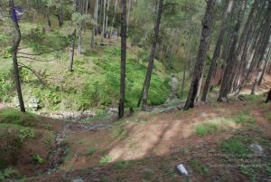 20080702 DSC 0078 CMP WM.jpg