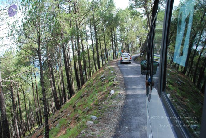 20080702 DSC 0086 CMP WM.jpg