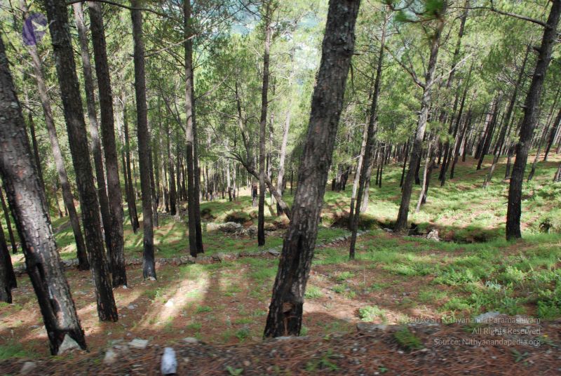 File:20080702 DSC 0092 CMP WM.jpg