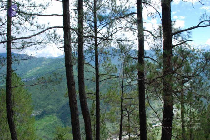 20080702 DSC 0105 CMP WM.jpg