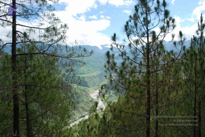 20080702 DSC 0106 CMP WM.jpg