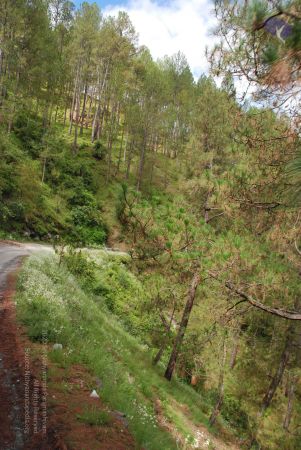 20080702 DSC 0117 CMP WM.jpg