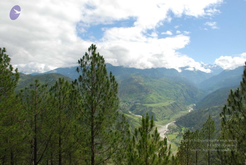 File:20080702 DSC 0120 CMP WM.jpg