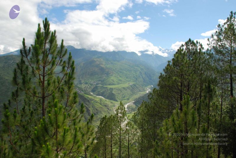 File:20080702 DSC 0121 CMP WM.jpg