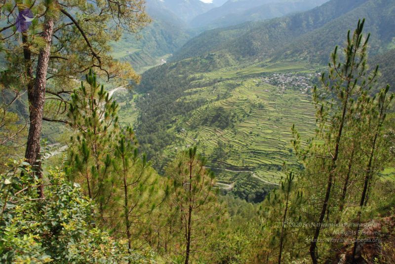 File:20080702 DSC 0136 CMP WM.jpg