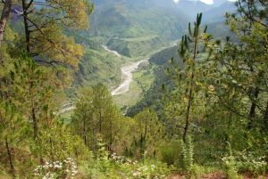 20080702 DSC 0137 CMP WM.jpg