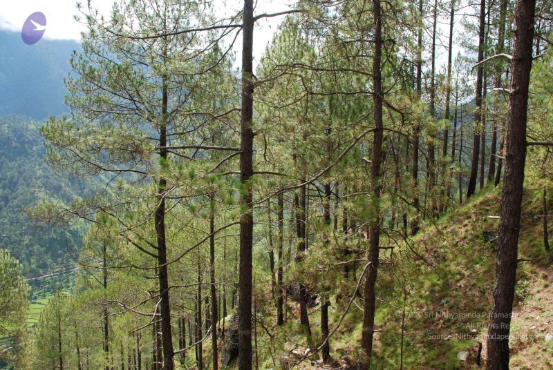 File:20080702 DSC 0145 CMP WM.jpg