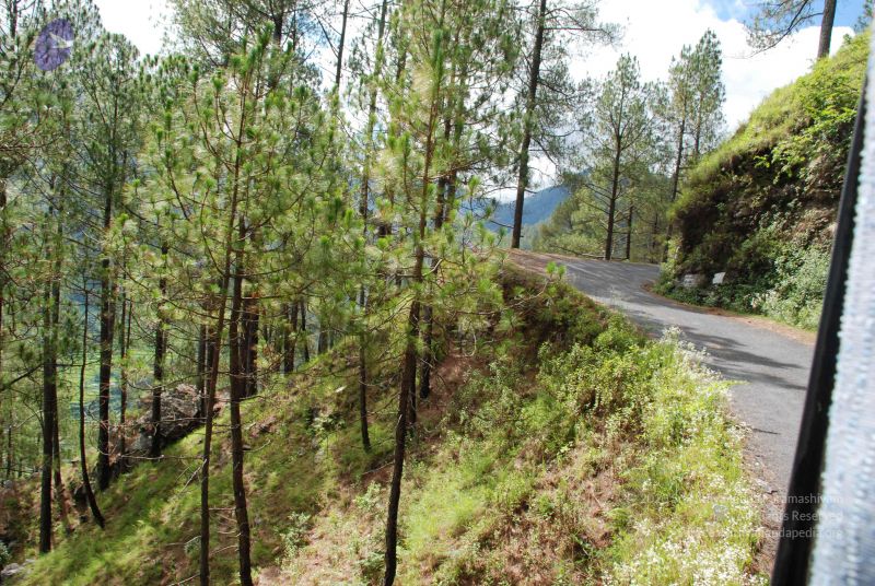 File:20080702 DSC 0146 CMP WM.jpg