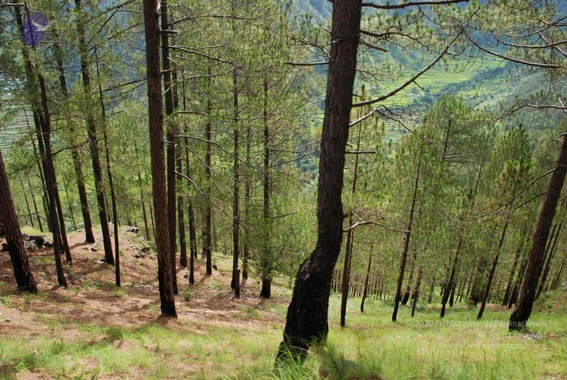 File:20080702 DSC 0147 CMP WM.jpg