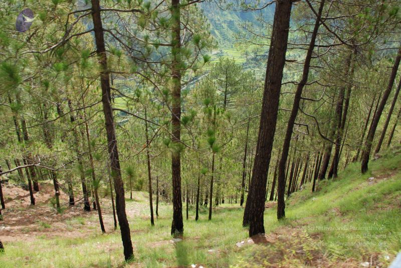 File:20080702 DSC 0148 CMP WM.jpg