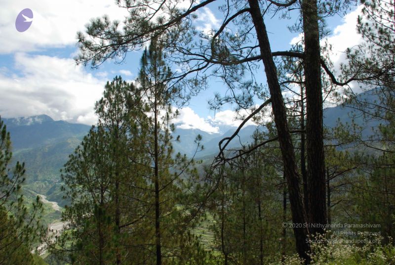 File:20080702 DSC 0160 CMP WM.jpg