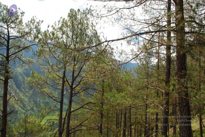 20080702 DSC 0165 CMP WM.jpg