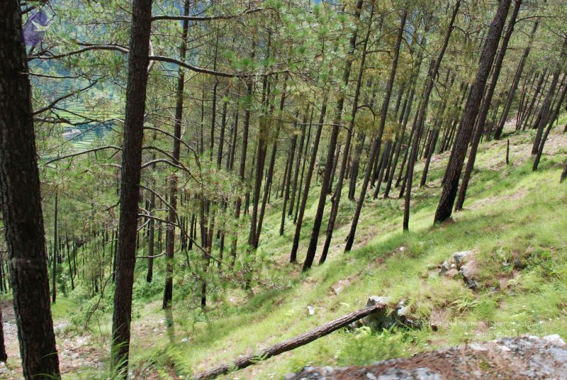 File:20080702 DSC 0166 CMP WM.jpg