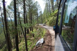 20080702 DSC 0168 CMP WM.jpg