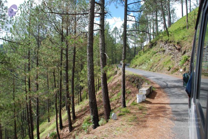 20080702 DSC 0171 CMP WM.jpg