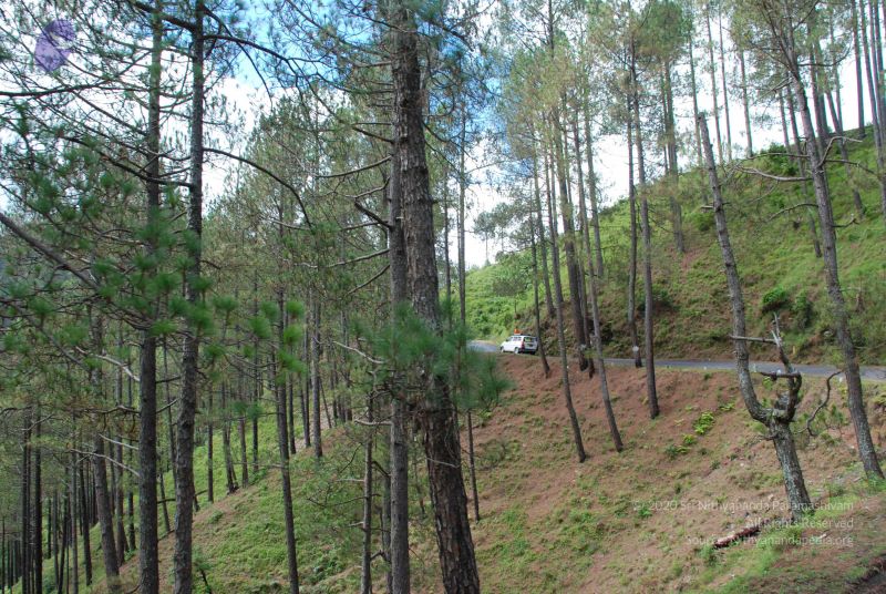 File:20080702 DSC 0180 CMP WM.jpg