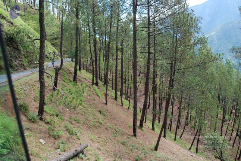 File:20080702 DSC 0184 CMP WM.jpg