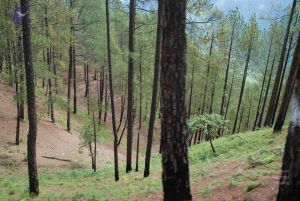 20080702 DSC 0186 CMP WM.jpg