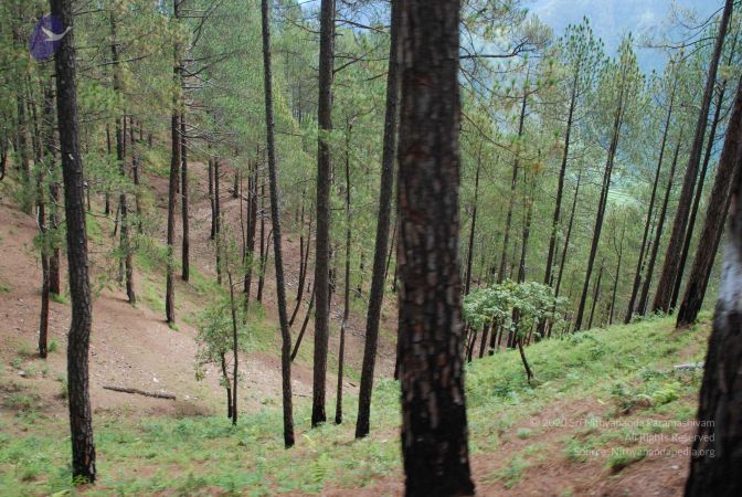 20080702 DSC 0186 CMP WM.jpg